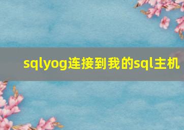 sqlyog连接到我的sql主机