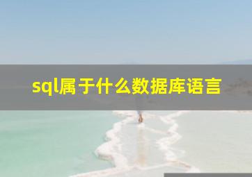 sql属于什么数据库语言