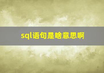 sql语句是啥意思啊