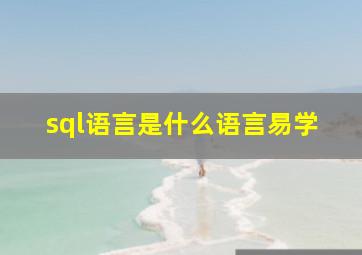 sql语言是什么语言易学