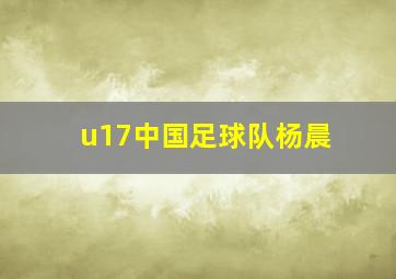 u17中国足球队杨晨