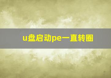 u盘启动pe一直转圈