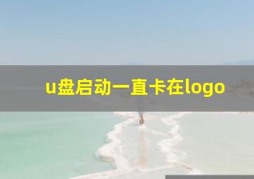 u盘启动一直卡在logo