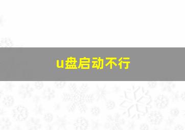 u盘启动不行