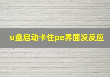 u盘启动卡住pe界面没反应