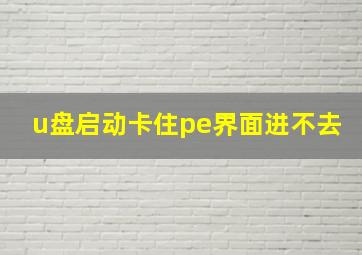 u盘启动卡住pe界面进不去