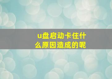 u盘启动卡住什么原因造成的呢