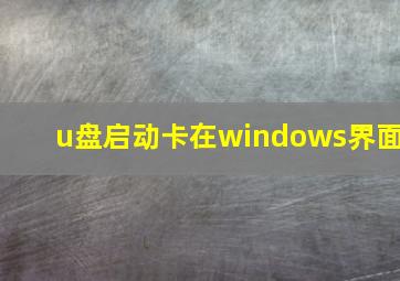 u盘启动卡在windows界面