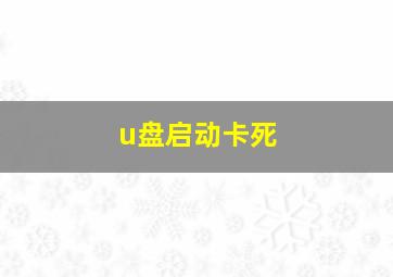 u盘启动卡死