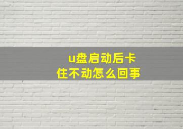 u盘启动后卡住不动怎么回事