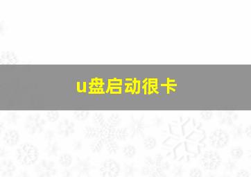 u盘启动很卡