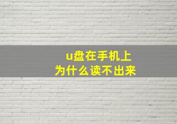 u盘在手机上为什么读不出来