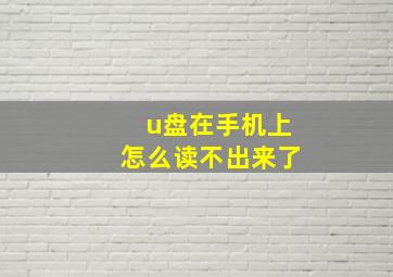 u盘在手机上怎么读不出来了