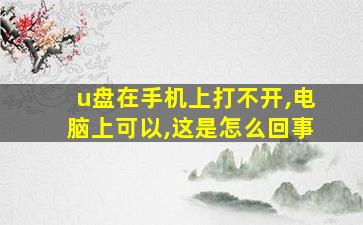 u盘在手机上打不开,电脑上可以,这是怎么回事