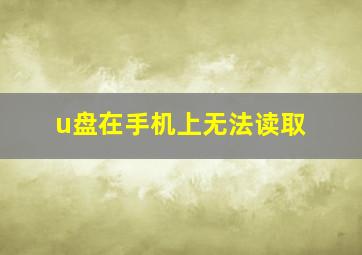 u盘在手机上无法读取