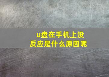 u盘在手机上没反应是什么原因呢