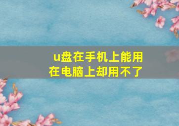 u盘在手机上能用在电脑上却用不了