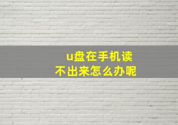 u盘在手机读不出来怎么办呢