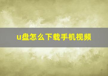 u盘怎么下载手机视频