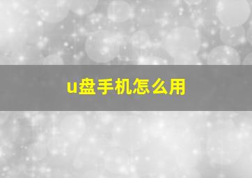 u盘手机怎么用