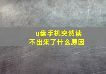 u盘手机突然读不出来了什么原因