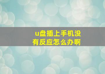 u盘插上手机没有反应怎么办啊