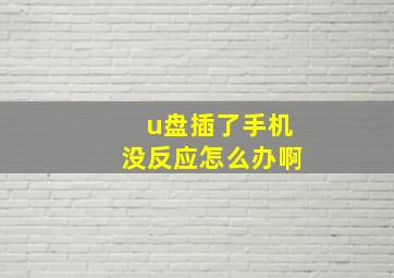 u盘插了手机没反应怎么办啊