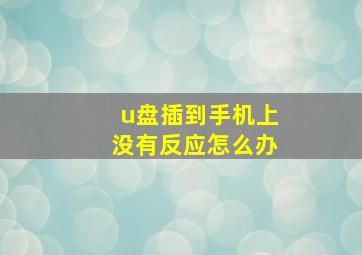 u盘插到手机上没有反应怎么办