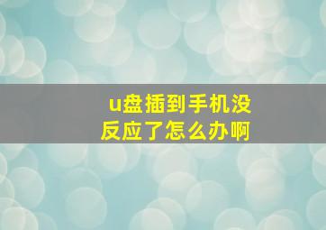 u盘插到手机没反应了怎么办啊