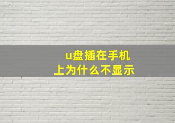 u盘插在手机上为什么不显示