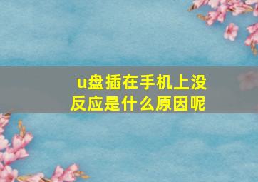 u盘插在手机上没反应是什么原因呢