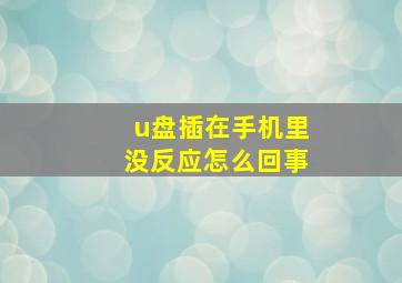 u盘插在手机里没反应怎么回事