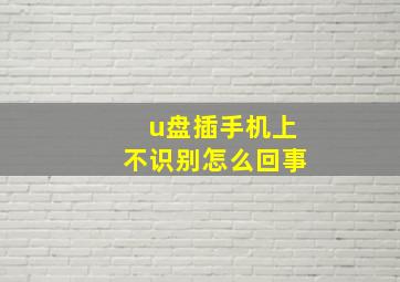 u盘插手机上不识别怎么回事