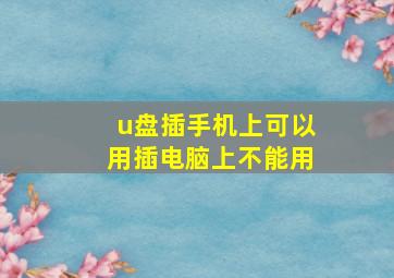 u盘插手机上可以用插电脑上不能用