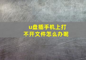 u盘插手机上打不开文件怎么办呢