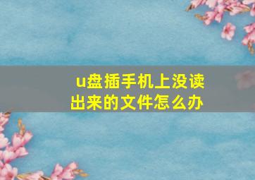 u盘插手机上没读出来的文件怎么办