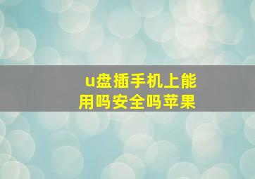 u盘插手机上能用吗安全吗苹果