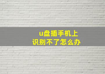 u盘插手机上识别不了怎么办