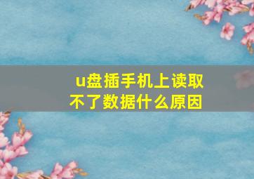 u盘插手机上读取不了数据什么原因