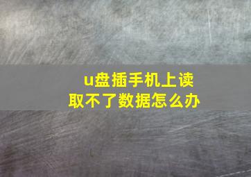 u盘插手机上读取不了数据怎么办