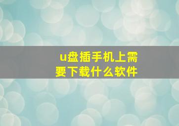 u盘插手机上需要下载什么软件