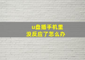 u盘插手机里没反应了怎么办