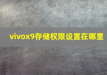 vivox9存储权限设置在哪里