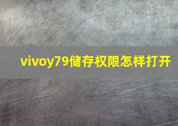 vivoy79储存权限怎样打开