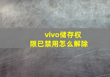 vivo储存权限已禁用怎么解除