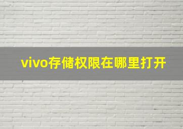 vivo存储权限在哪里打开