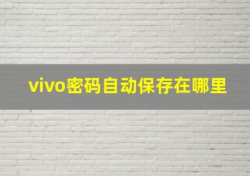 vivo密码自动保存在哪里