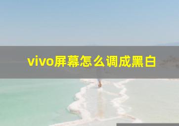 vivo屏幕怎么调成黑白