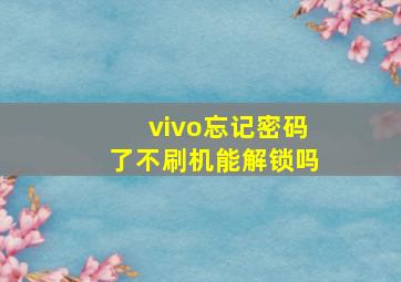 vivo忘记密码了不刷机能解锁吗