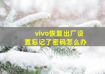 vivo恢复出厂设置忘记了密码怎么办